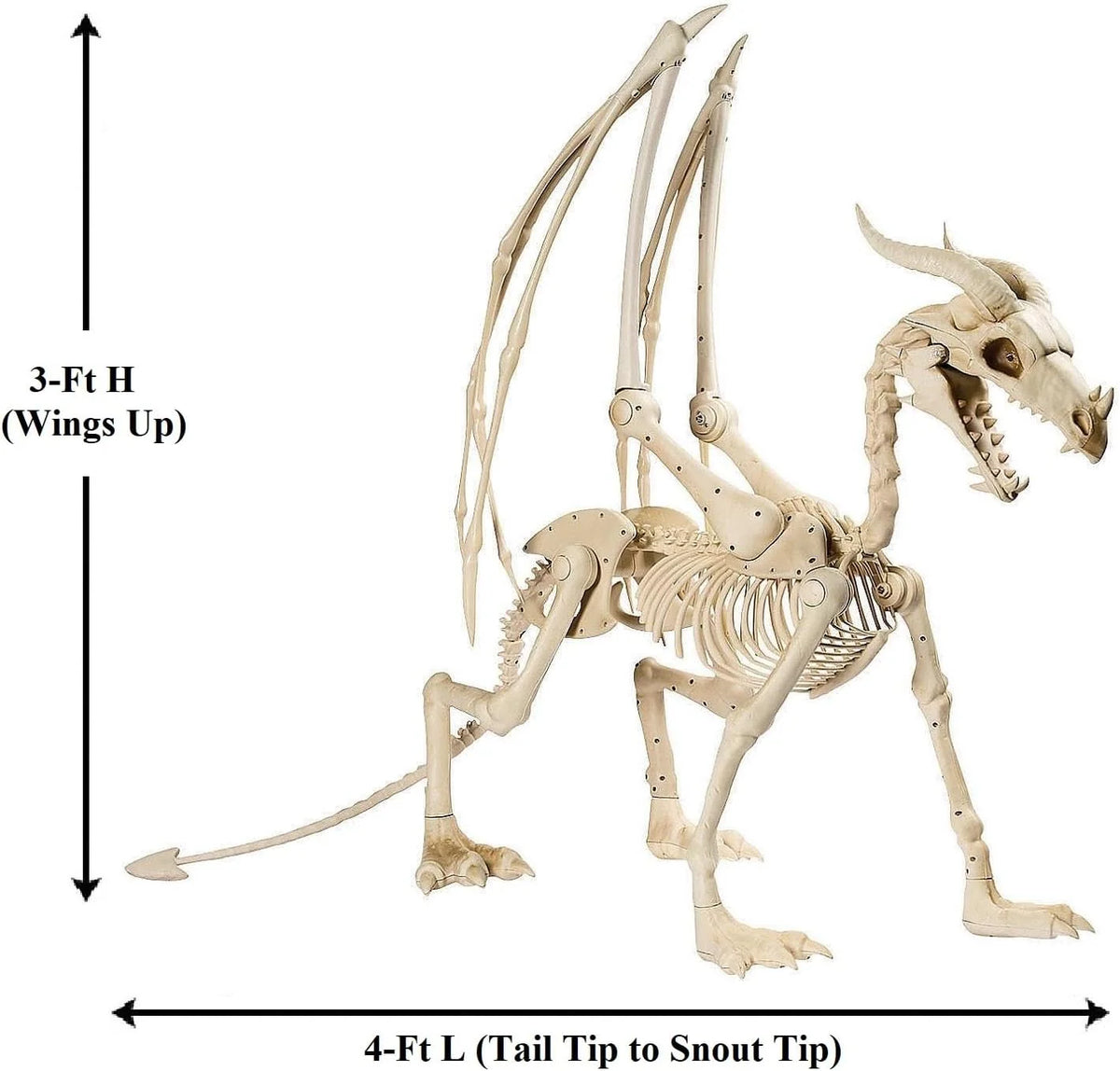 Large 4ft pterosaur skeleton, halloween decoration