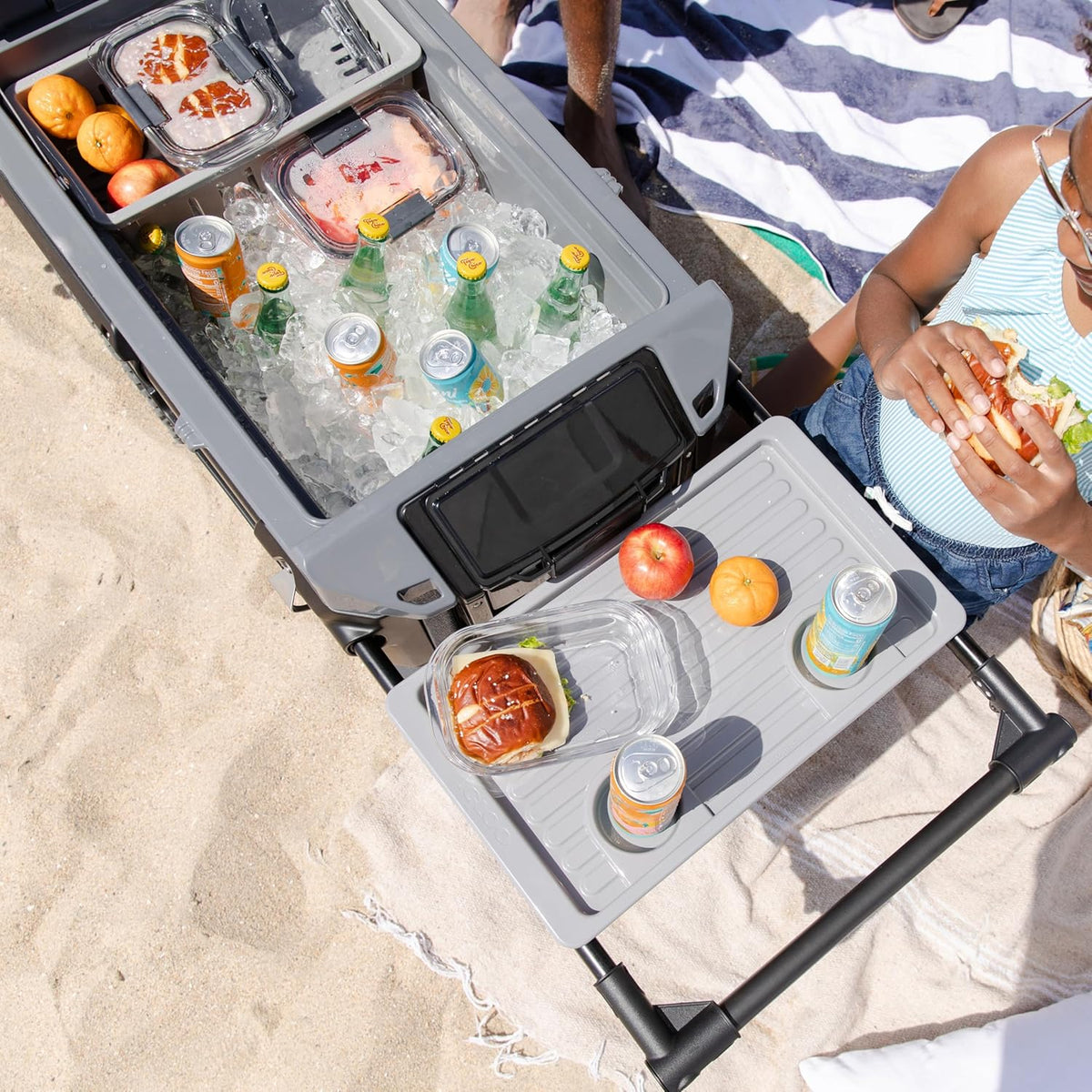 70Qt Wheeled Cooler Insulated Hard Shell Ice Chest