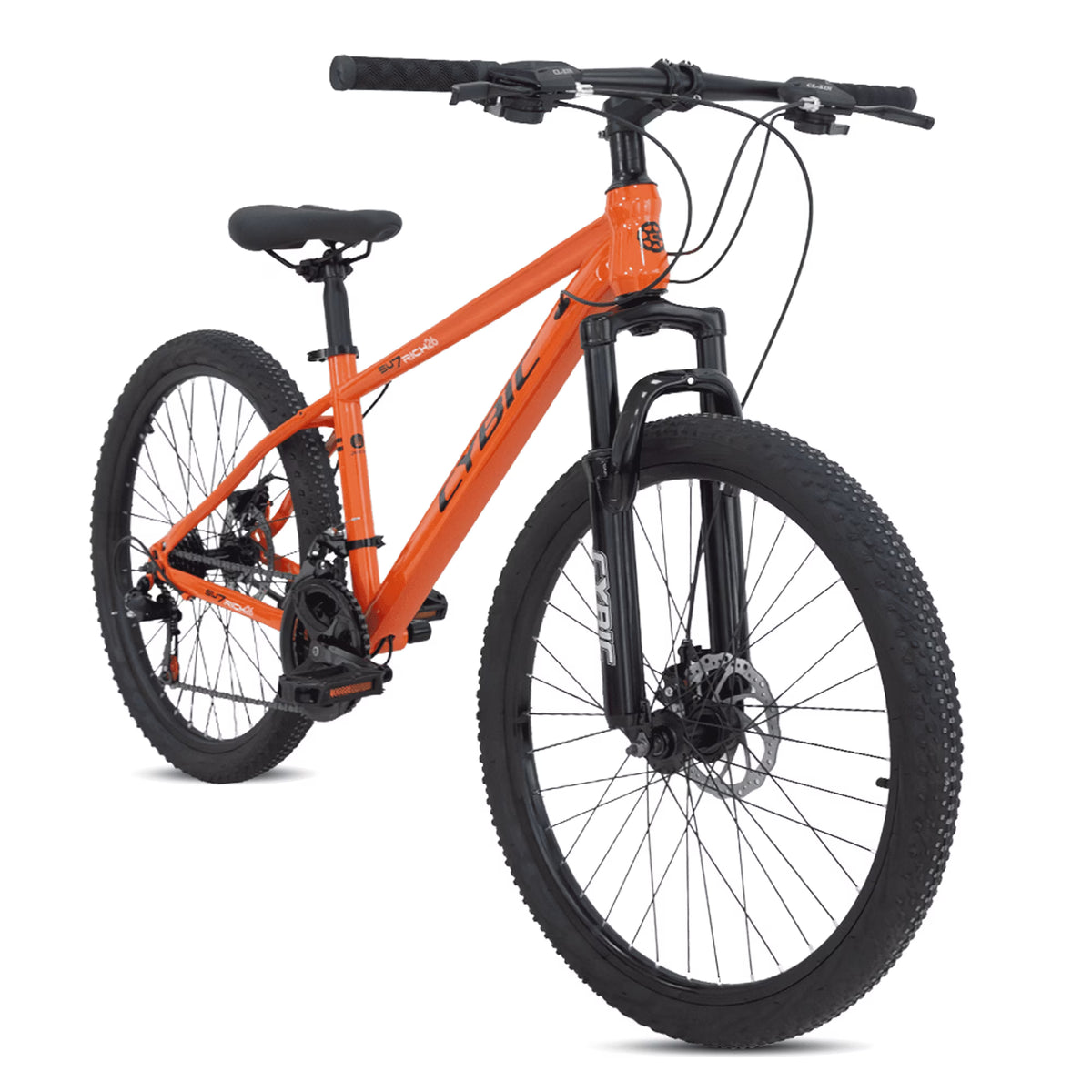 Cybic 24 inch Mountain Bike with Iron Frame,21Speed,Disc Brakes Bicycle, Purple